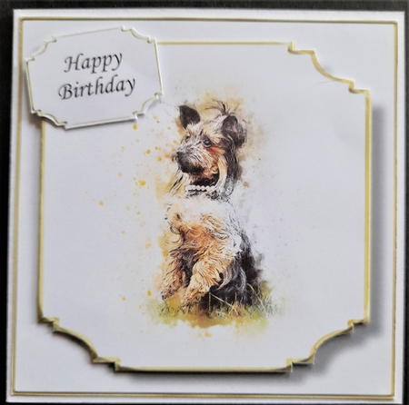 Simple Dog 18 by Michelle Young