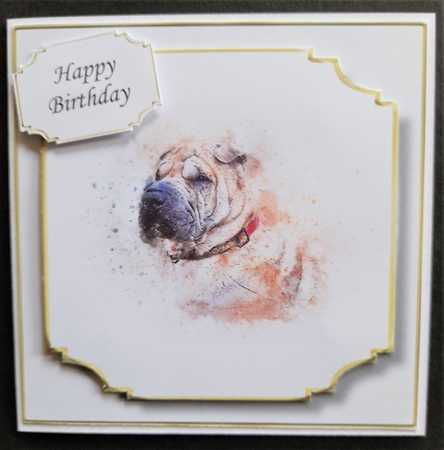Simple Dog 19 by Michelle Young