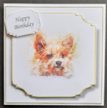 Simple Dog 21 by Michelle Young