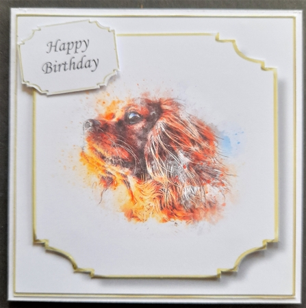 Simple Dog 23 by Michelle Young