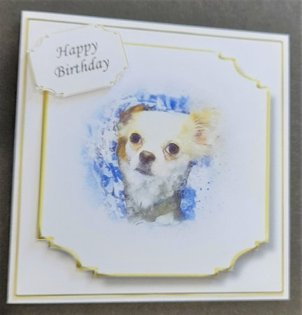 Simple Dog 24 by Michelle Young