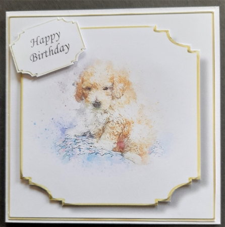 Simple Dog 26 by Michelle Young