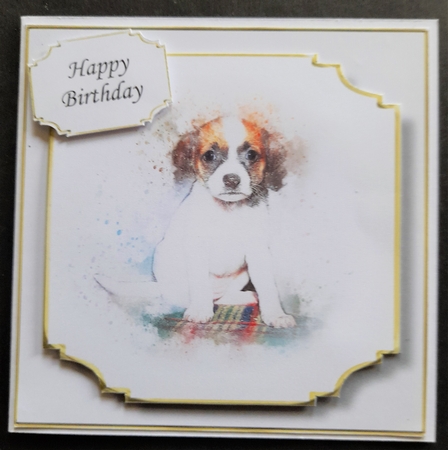 Simple Dog 27 by Michelle Young
