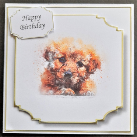 Simple Dog 28 by Michelle Young