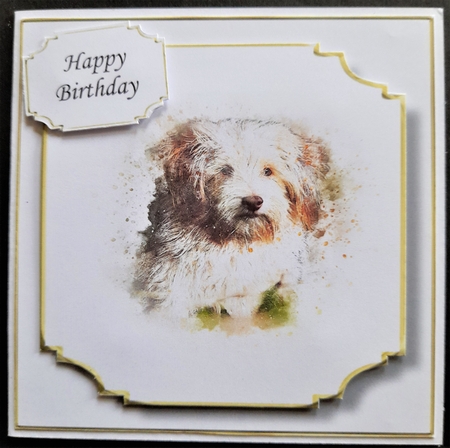 Simple Dog 29 by Michelle Young
