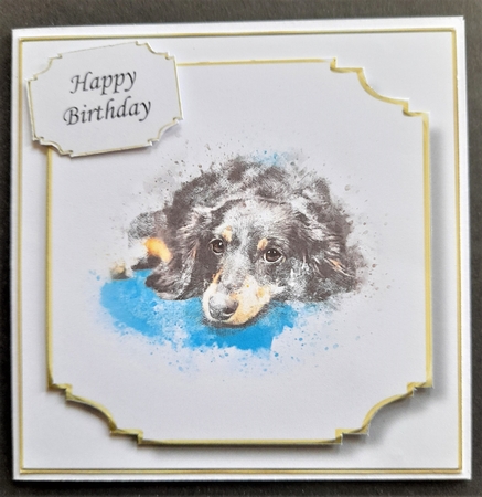 Simple Dog 30 by Michelle Young