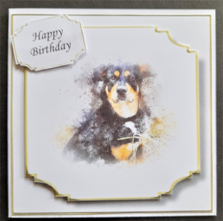 Simple Dog 31 by Michelle Young