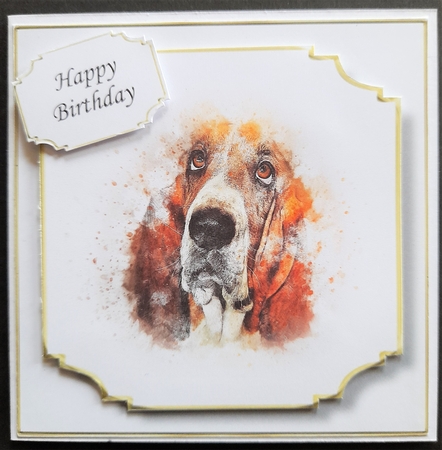 Simple Dog 32 by Michelle Young