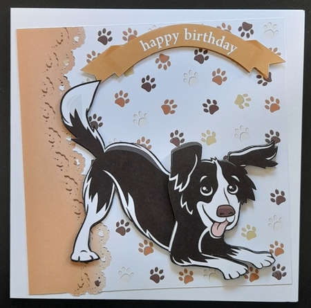 playful black/white dog 7x7, card front by Michelle Young