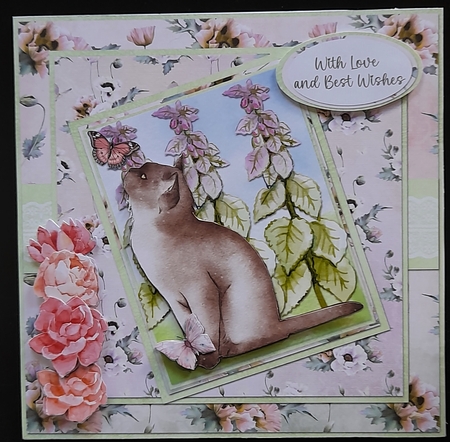 Cats and Dogs 2: Burmese 7 x 7 Card Mini Kit, 8 Sheets, Green/Pink/Peach by Michelle Young