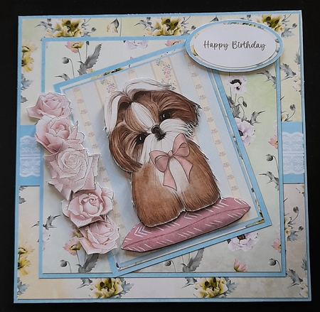 Cats and Dogs 4: Shih Tzu 7 x 7 Card Mini Kit, 8 Sheets, Pink/Yellow/Aqua by Michelle Young