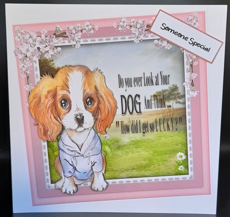 7x7 Puppy Tails 3 by Michelle Young