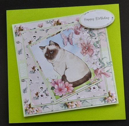 Cats and Dogs 5: Birman 6 x 6 Card Front with Topper and Sentiments, Peach/Green by Michelle Young