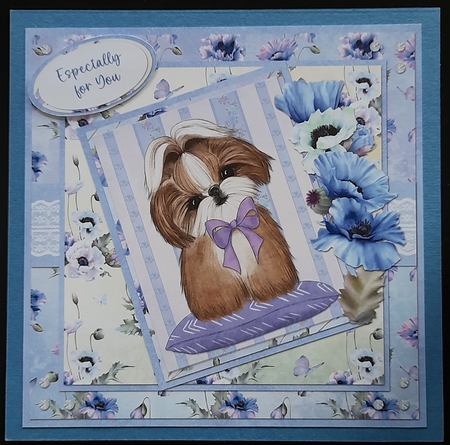 Cats and Dogs 16: Shih Tzu 8 x 8 Quick Card Front with Sentiments by Michelle Young