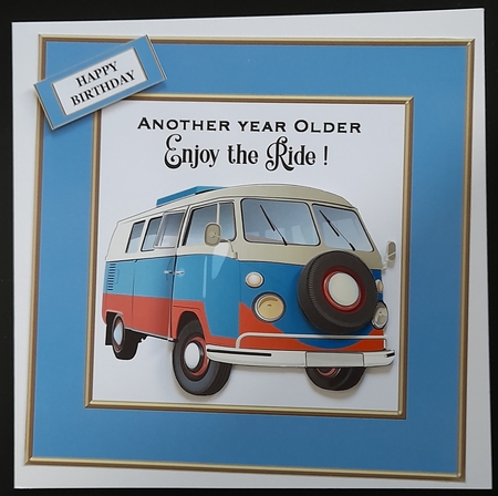 ENJOY THE RIDE by Michelle Young