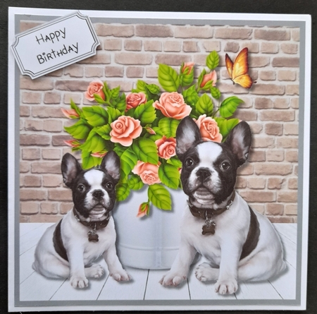 Frenchies by Michelle Young