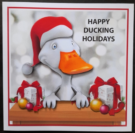 Happy Ducking Holidays  by Michelle Young