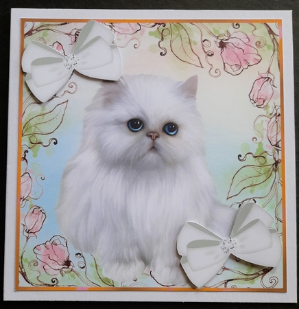 Pink Floral  7x7 card front with a white persian kitten by Michelle Young