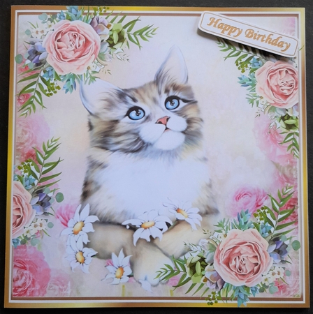 Pretty Peach/Pink Roses with a cute kitten 8x8 by Michelle Young