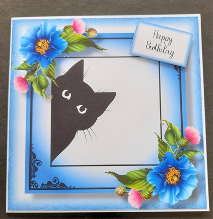 Peeking Cat With Blue Poppies 8x8 by Michelle Young