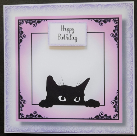 Peeking Cat In Purple - No Flowers by Michelle Young