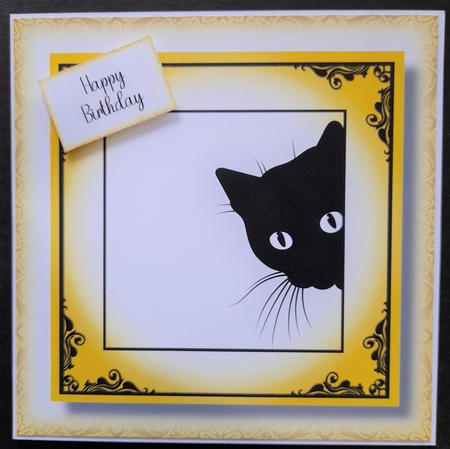 Peeking Cat In Yellow - No Flowers by Michelle Young