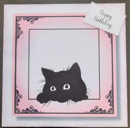 Peeking Cat In Pink - No Flowers by Michelle Young