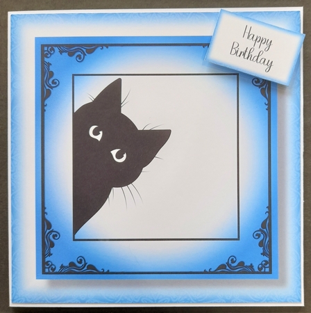 Peeking Cat In Blue - No Flowers by Michelle Young