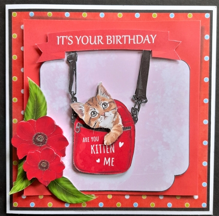 Cute Kitten Birthday Card by Michelle Young