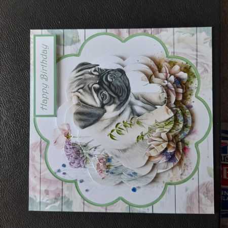 Baby pug scallop card by Michelle Young