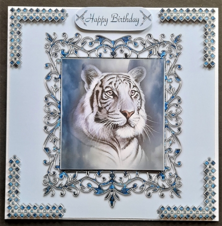 white tiger by Michelle Young