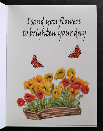QUICK FOLD CARD by Michelle Young