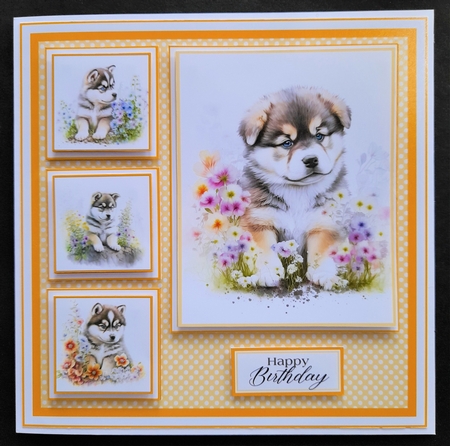 8x8 Baby Malamute Mini Kit - x5 A4 Sheets  by Michelle Young
