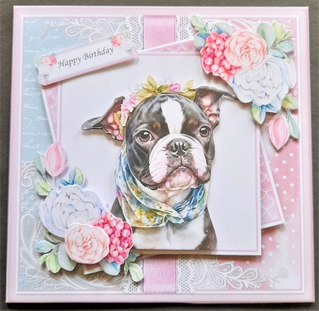 Boston Terrier KIT-ONE by Michelle Young