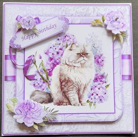 Persian Cats Purple CF BUNDLE by Michelle Young