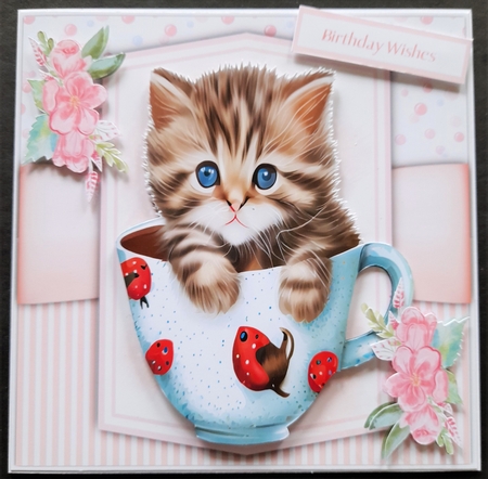 8x8 Mini Kit, Gorgeous Kitty in a Cup , 2 by Michelle Young