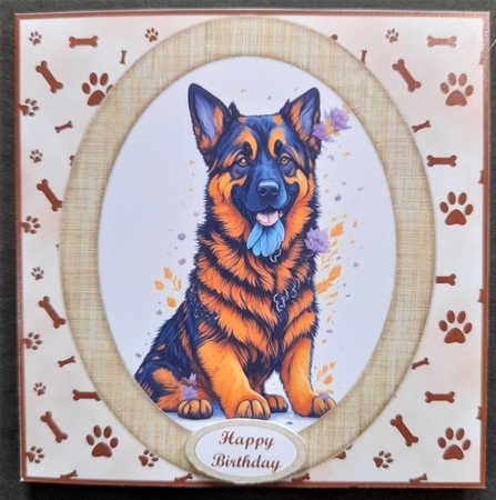 Quirky Canvas Pet Portraits Set 1 by Michelle Young