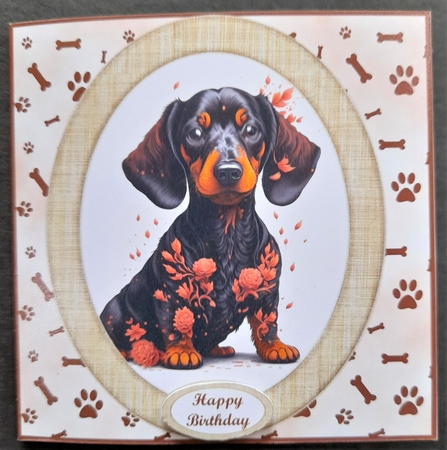 Quirky Canvas Pet Portraits Set 3 by Michelle Young
