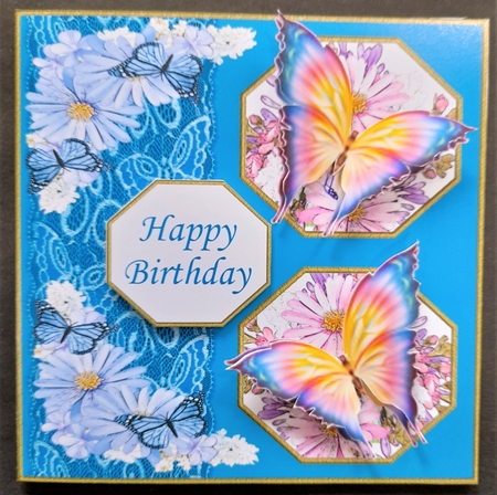 Butterfly octagon S Border Frames-Lifes Beachy by Michelle Young