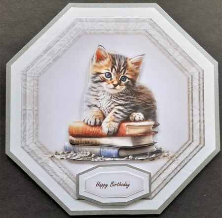 Octagon  Vintage Kitten by Michelle Young