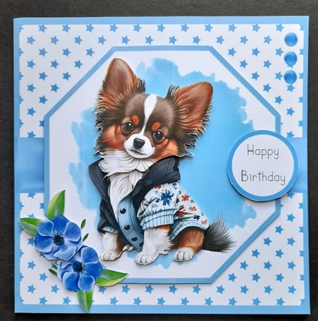 Cute Little Papillon  by Michelle Young