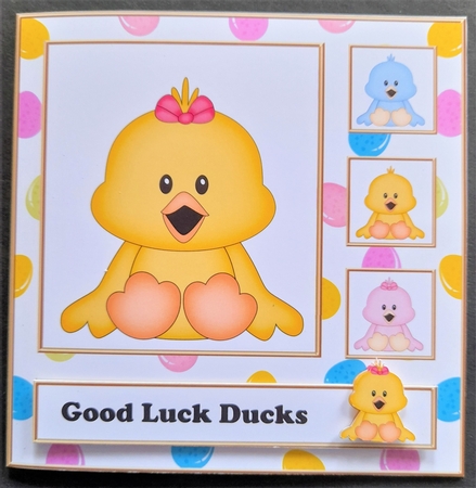 Birds - Cute Little Chicks - CU4CU Digital Clip Art Set by Michelle Young