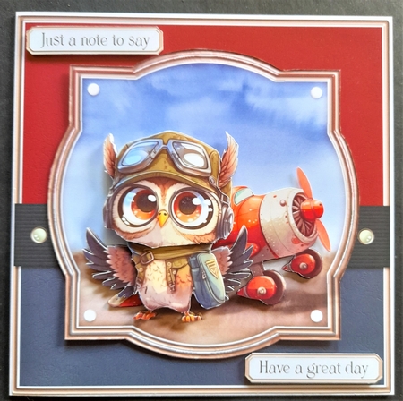 Owl Aviation Pilot 1 Mini Kit by Michelle Young