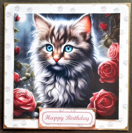 Cat & Roses by Michelle Young