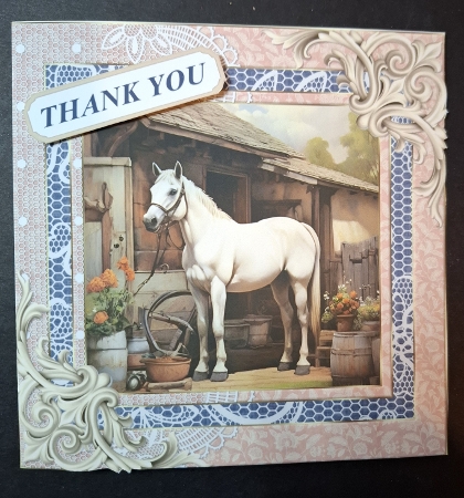Framed white horse card front 12 by Michelle Young