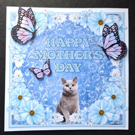 A5 Blue & Silver Damask Mats 7-12 in PNG by Michelle Young