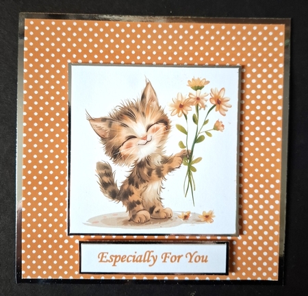 Birthday Cats by Michelle Young