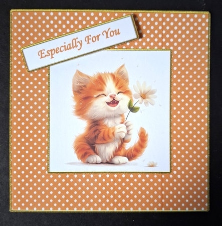 Birthday Cats by Michelle Young