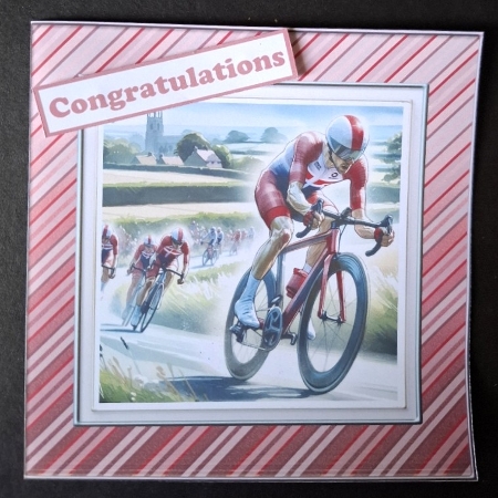 HIGH SPEED CYCLING 3  - Illustrations for Cardmakers & Designers  by Michelle Young