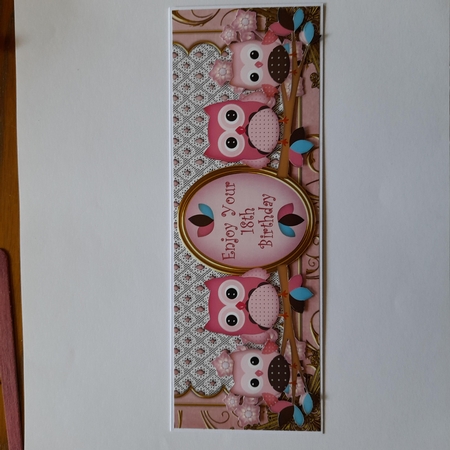 Pink Owls 18th Birthday Large Dl Card Kit by Michelle Young